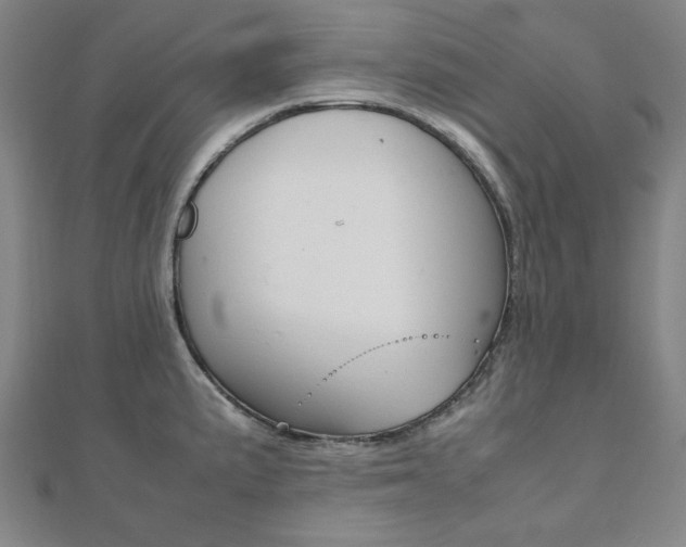 X0000112051191200908040943