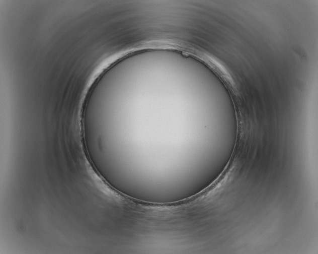 X0000112051192200908040943