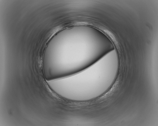 X0000112051193200908040943
