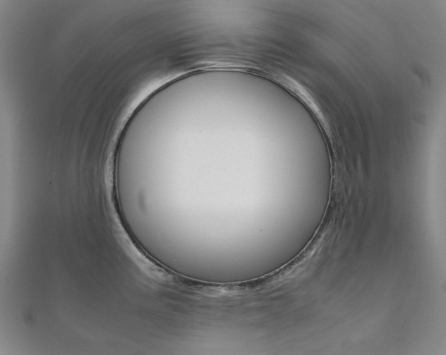 X0000112051195200908040943