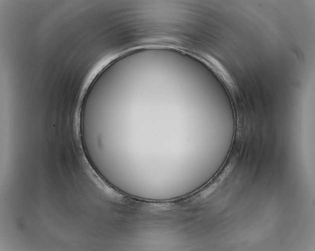 X0000112051196200908040943