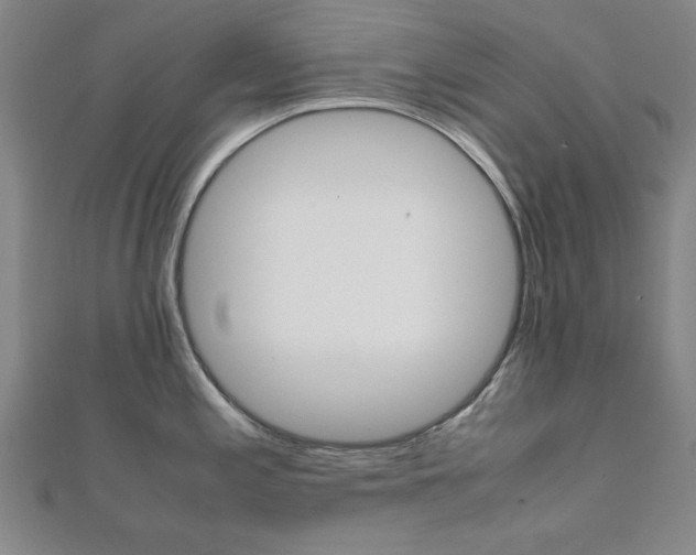 X0000112051197200908040943
