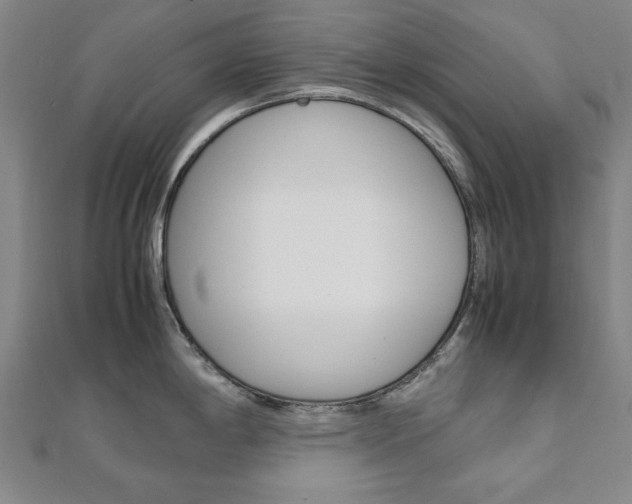 X0000112051198200908040943