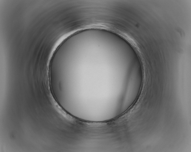 X0000112051200200908040943