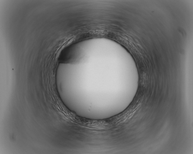 X0000112051201200908040942