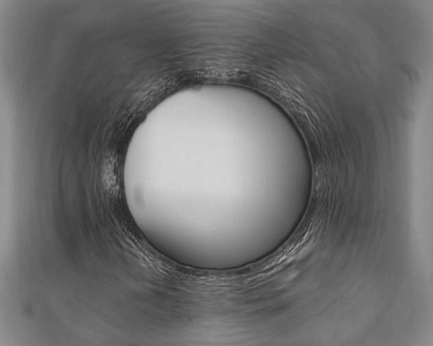 X0000112051202200908040943
