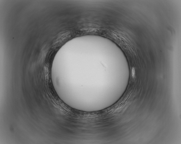 X0000112051203200908040943