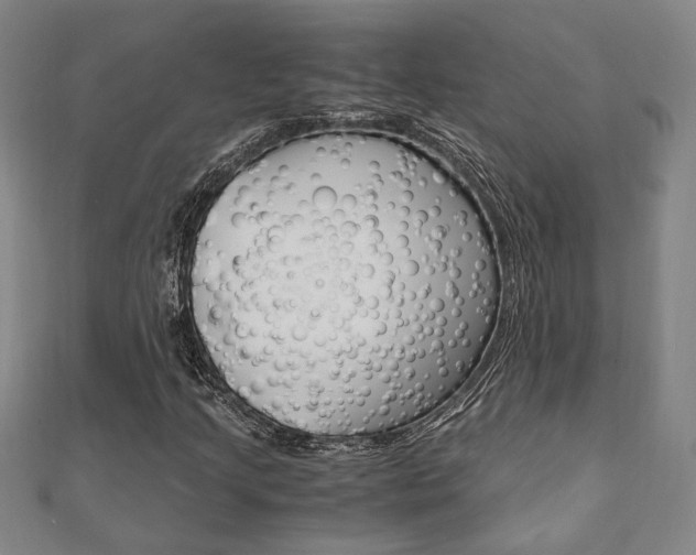 X0000112051205200908040943