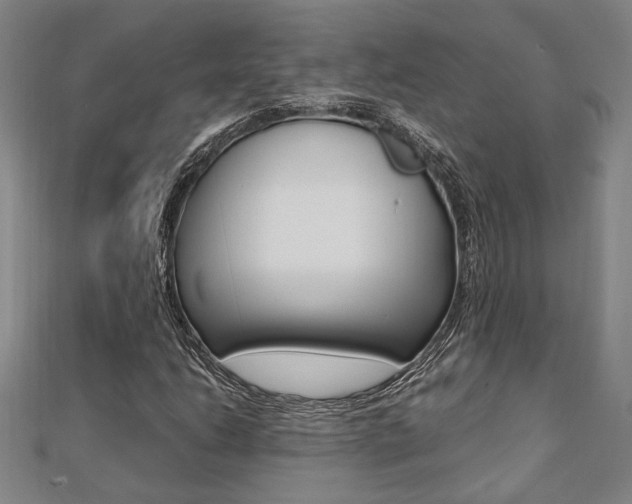 X0000112051206200908040943