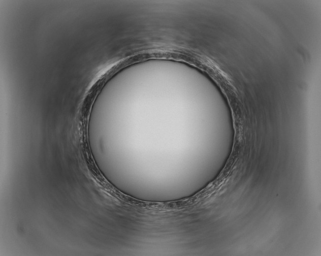 X0000112051208200908040943
