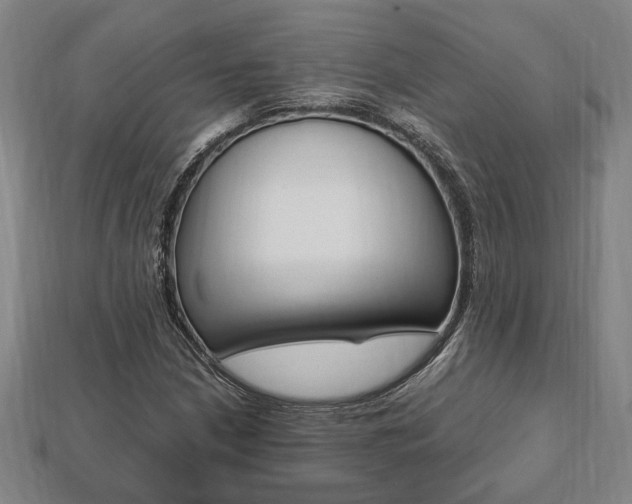 X0000112051210200908040943