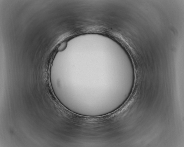 X0000112051211200908040943