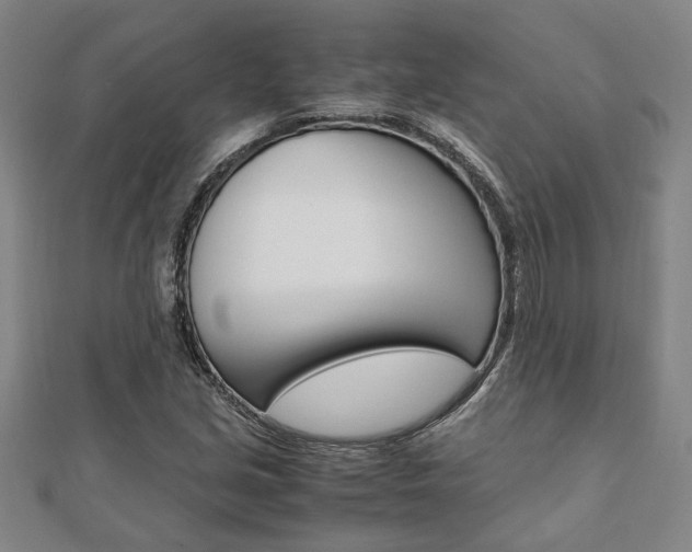 X0000112051213200908040943