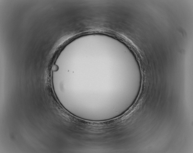 X0000112051215200908040943