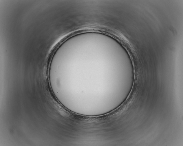 X0000112051216200908040943