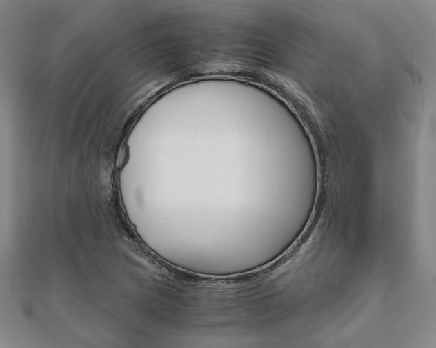 X0000112051217200908040943