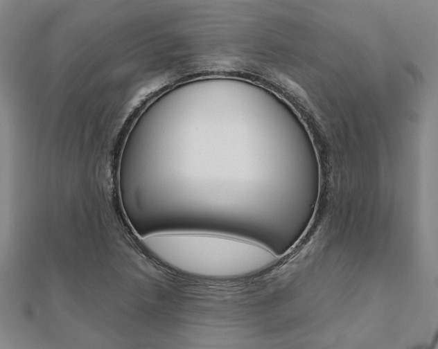 X0000112051218200908040943