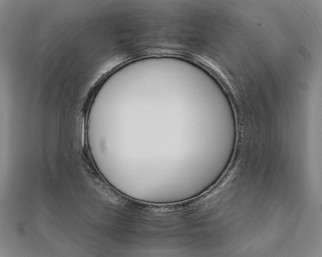 X0000112051219200908040943