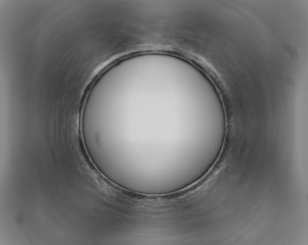 X0000112051220200908040943