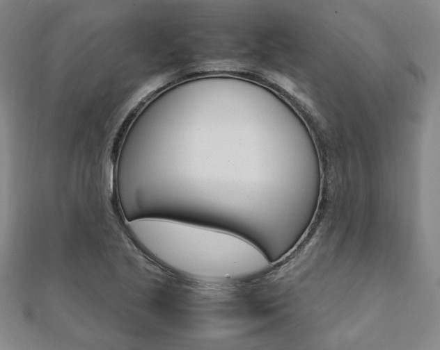 X0000112051221200908040943