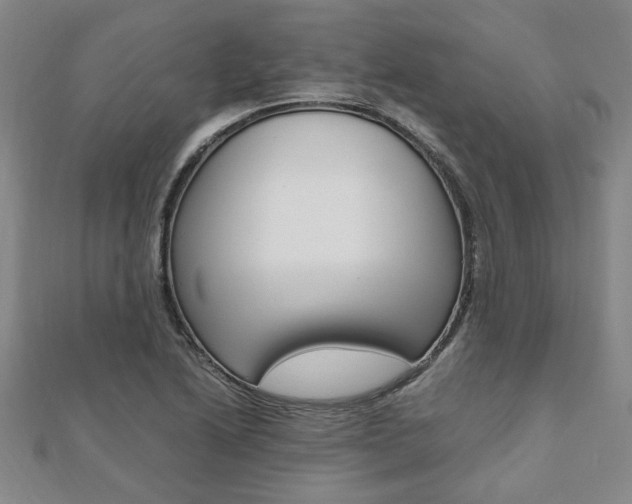 X0000112051222200908040943
