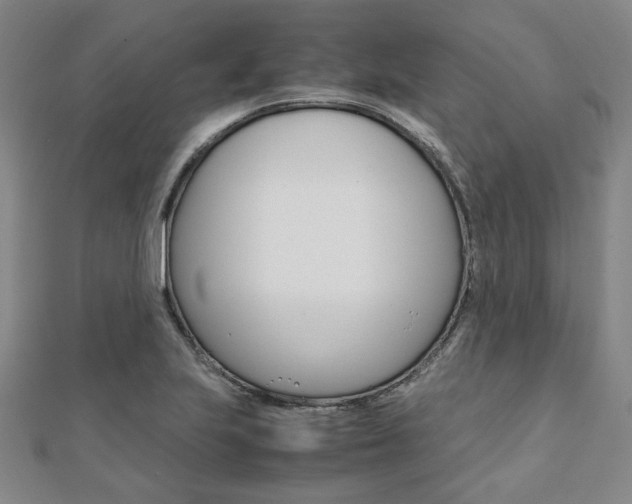 X0000112051223200908040943
