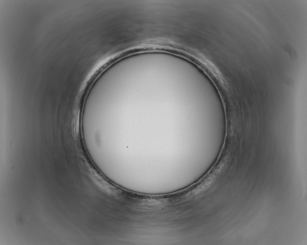 X0000112051224200908040943