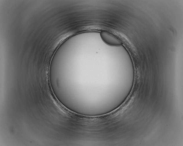 X0000112051225200908040943