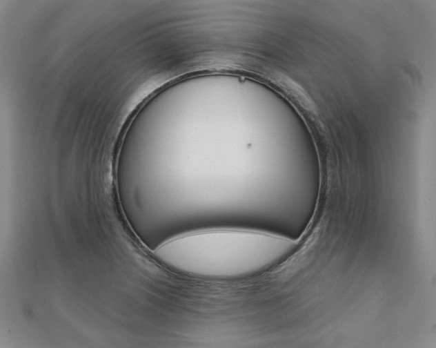 X0000112051226200908040943