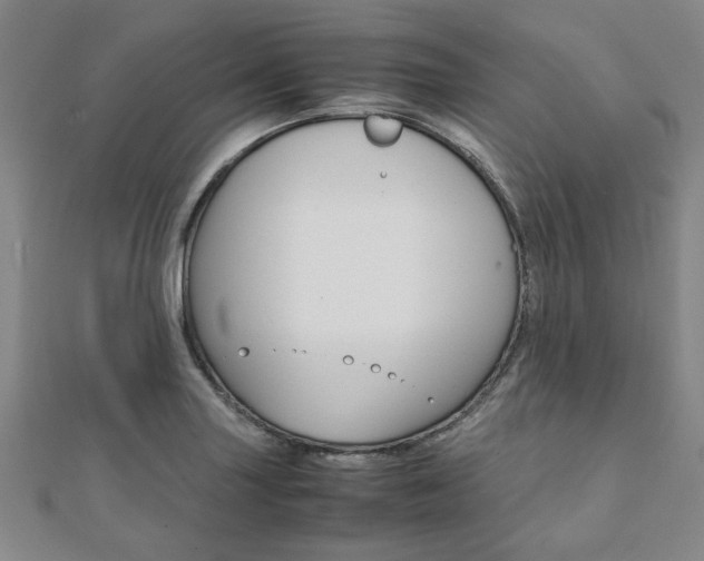 X0000112051227200908040943
