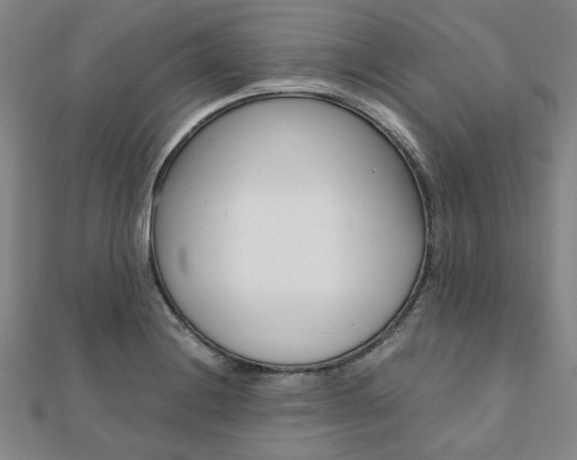 X0000112051228200908040943
