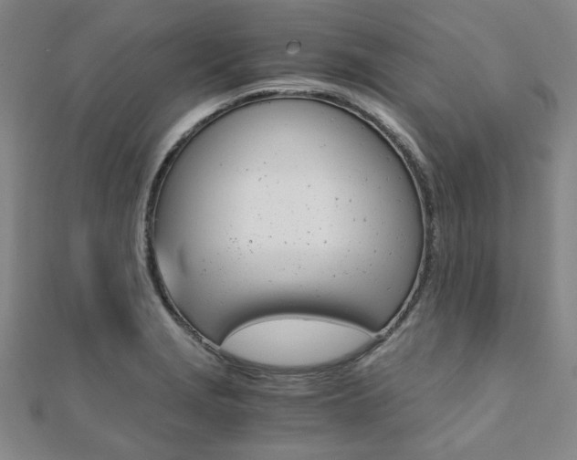 X0000112051229200908040943