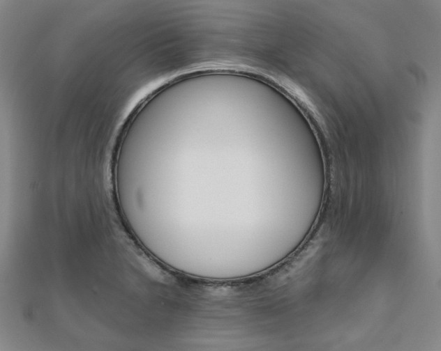 X0000112051230200908040943