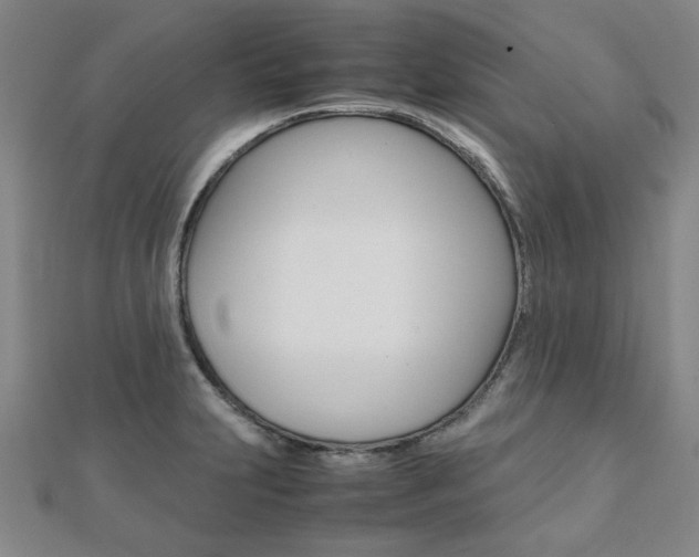 X0000112051231200908040943