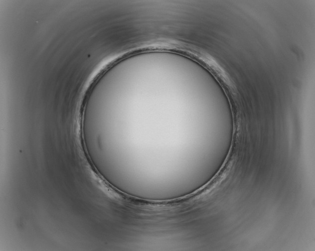 X0000112051232200908040943