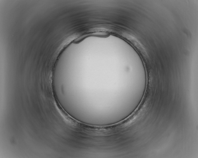 X0000112051233200908040943