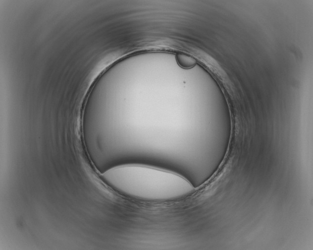X0000112051234200908040943
