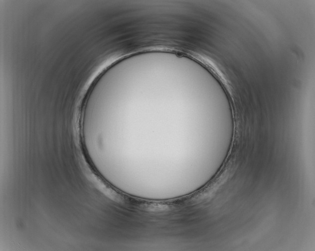 X0000112051235200908040943
