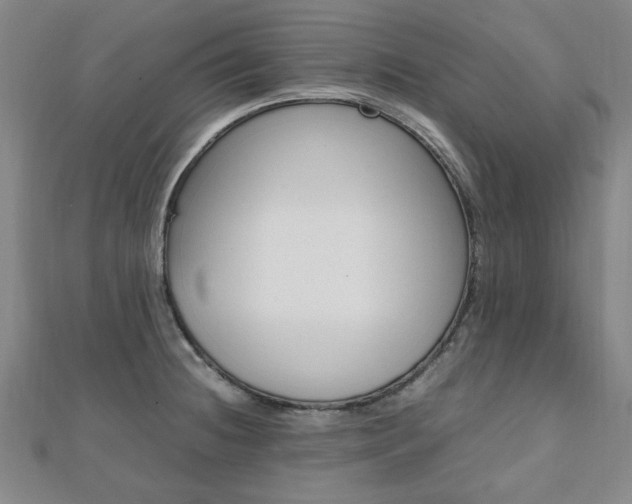 X0000112051236200908040943