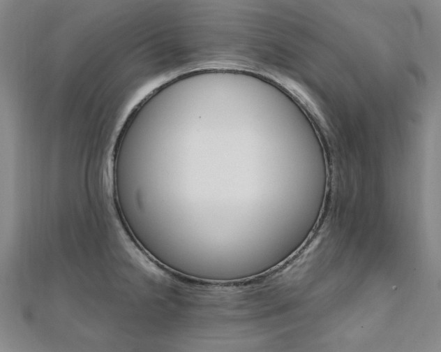 X0000112051238200908040943