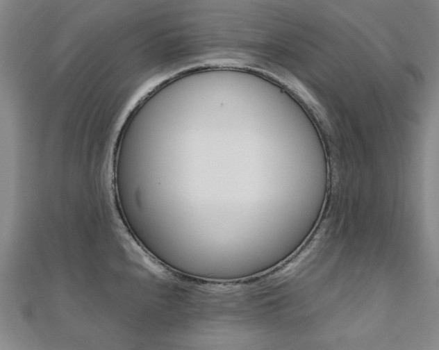 X0000112051240200908040943