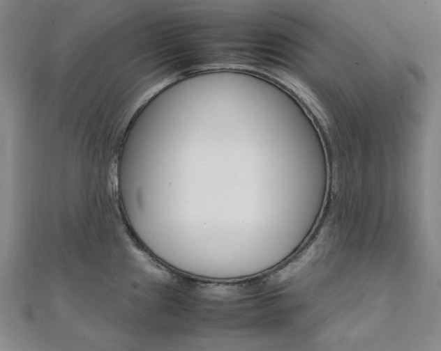X0000112051241200908040943