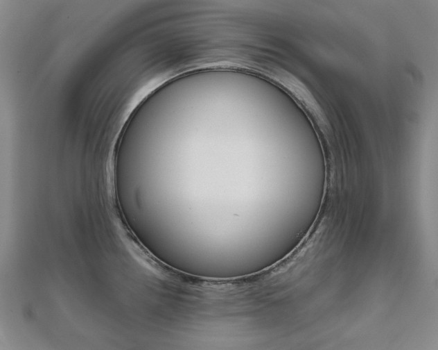 X0000112051242200908040943