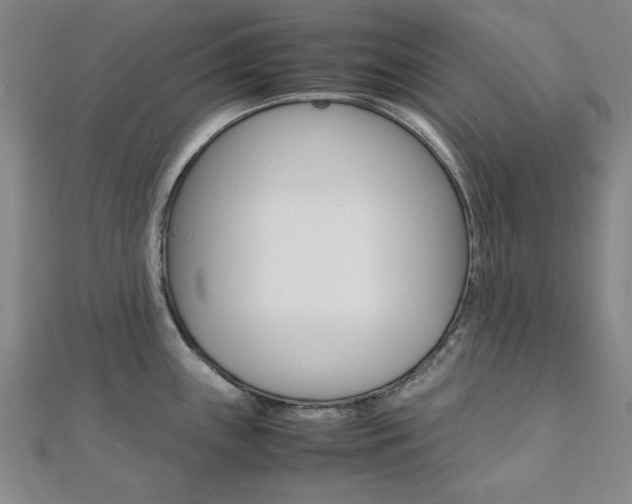 X0000112051243200908040943