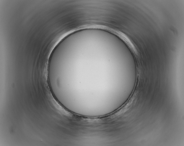 X0000112051244200908040943