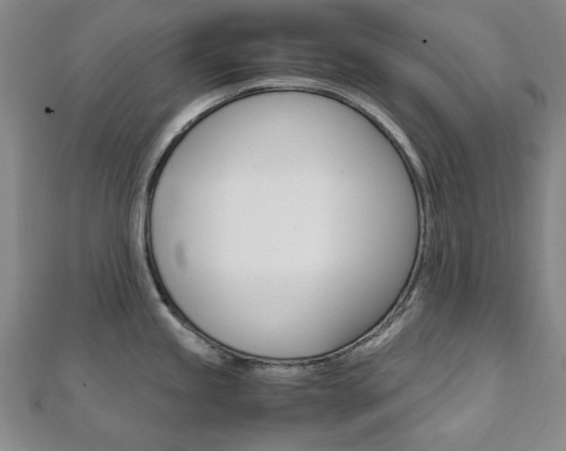 X0000112051245200908040943