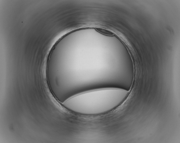 X0000112051246200908040943