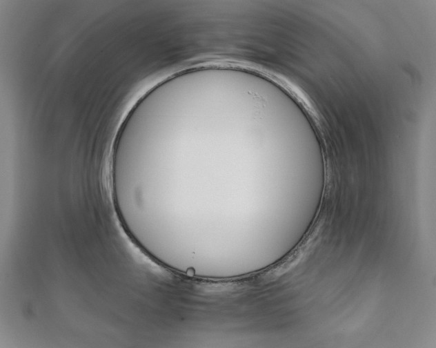 X0000112051247200908040943