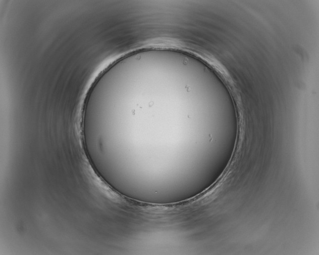 X0000112051248200908040943