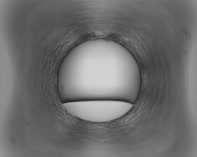 X0000112051249200908040942